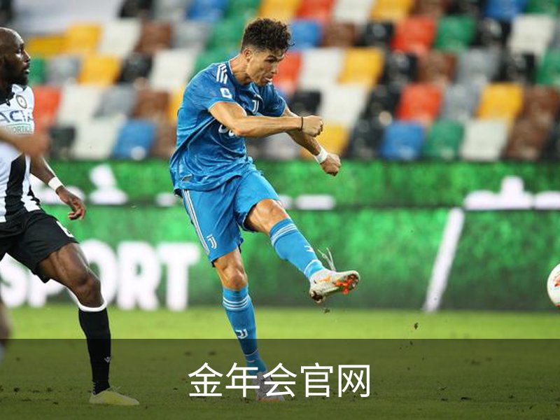 企业简介
